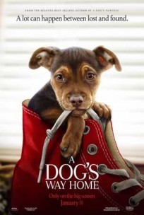 Sadık Dostum 2019 Türkçe Dublaj izle – Köpek Hayvan ve İnsan Dostluğu Filmi