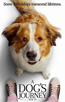 A Dog’s Journey full hd izle Köpek Dostluğu tek part filmleri