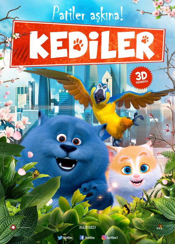 Kediler 2019 Çin animasyon filmi Türkçe dublaj izle