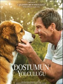 Dostumun Yolculuğu 2019 hayvan filmi Türkçe dublaj izle